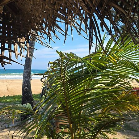 Talalla Beach Bungalows Extérieur photo